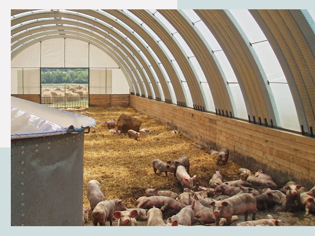 Строительство свинарников в Химках